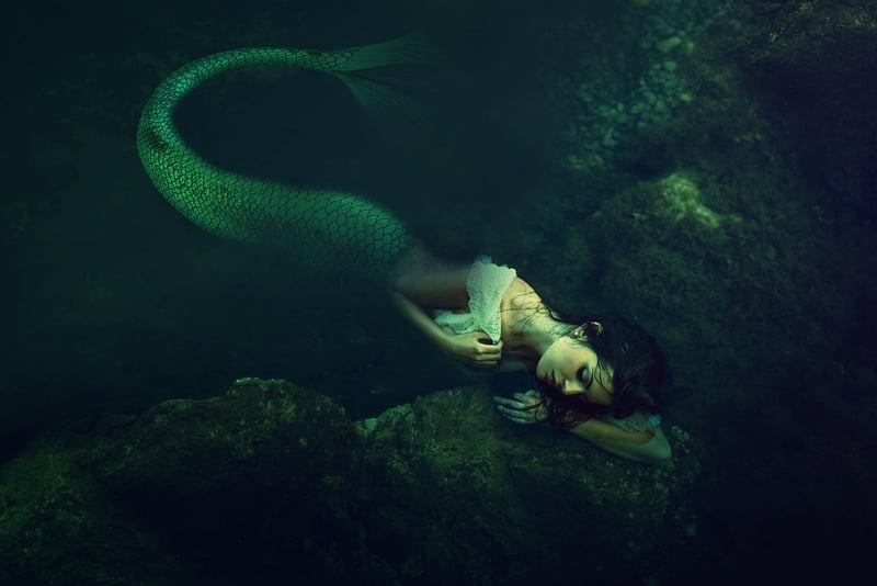 The Shape of Water